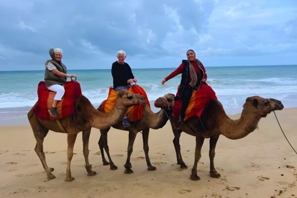 Luxury Day Trip from Malaga to Morocco
