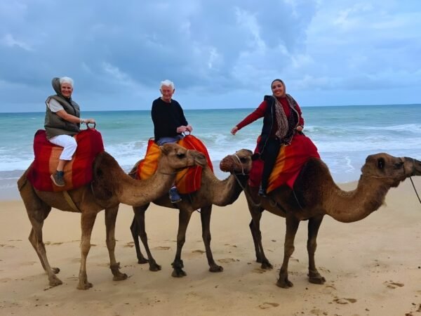 Luxury Day Trip from Malaga to Morocco