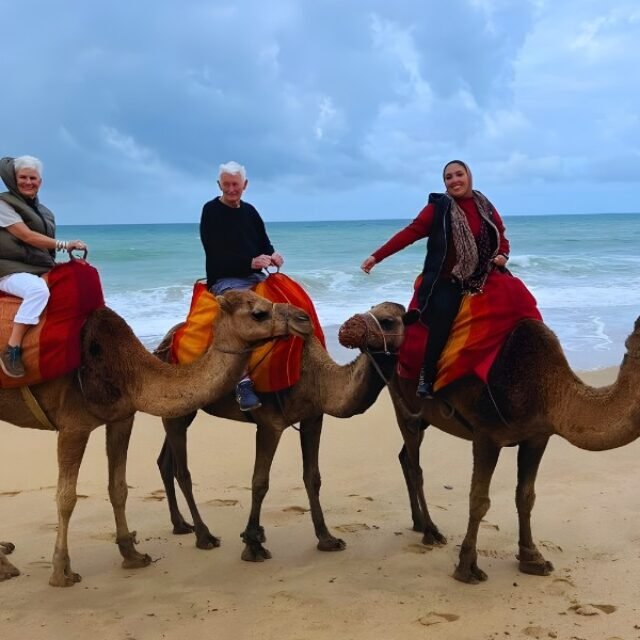 Luxury Day Trip from Malaga to Morocco