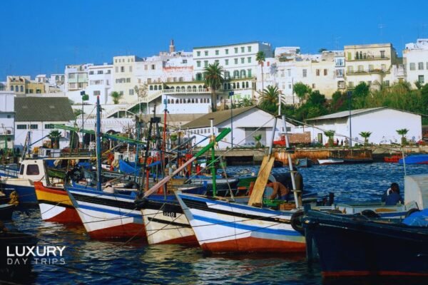Luxury Day Trip from Marbella to Morocco