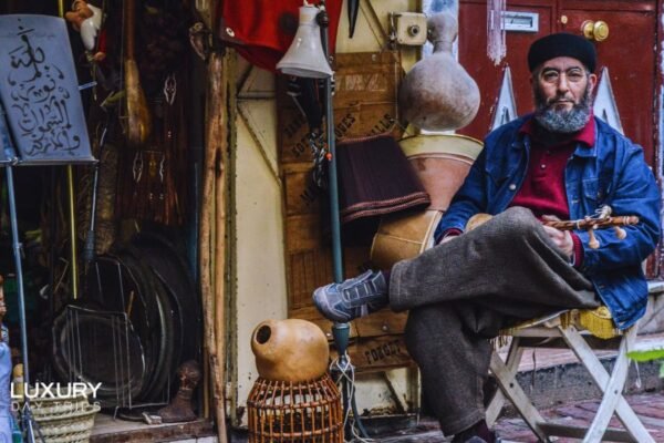 Luxury Day Trip from Marbella to Morocco