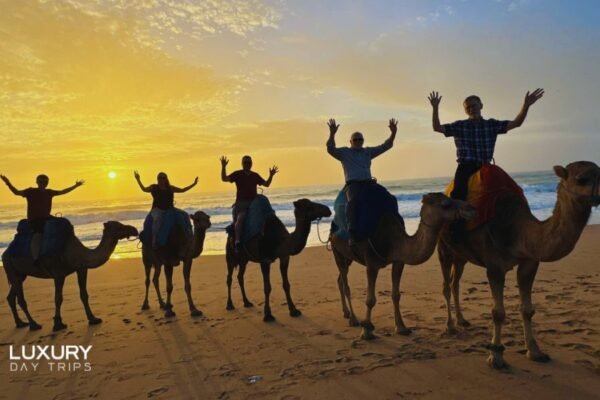 Luxury Day Trip from Marbella to Morocco