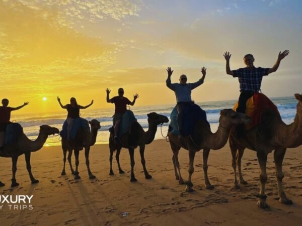 Luxury Day Trip from Marbella to Morocco