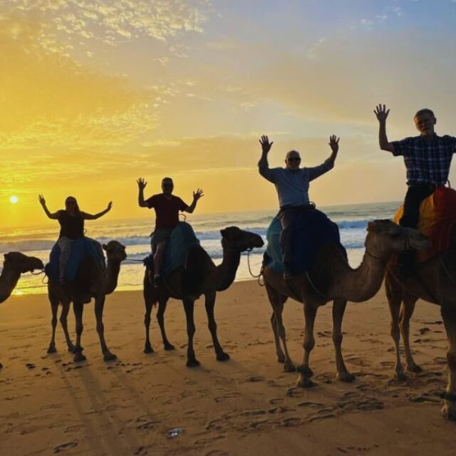 Luxury Day Trip from Marbella to Morocco