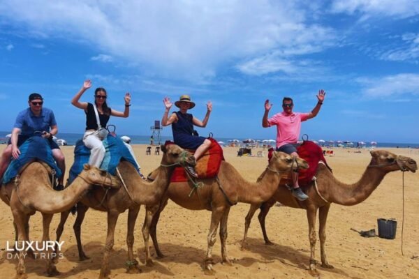 Luxury Day Trip from Seville to Morocco