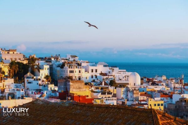 Luxury Day Trip from Estepona to Morocco