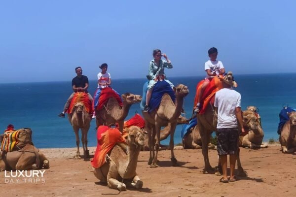 Luxury Day Trip from Estepona to Morocco
