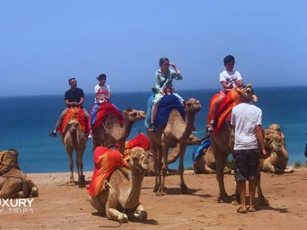 Luxury Day Trip from Estepona to Morocco