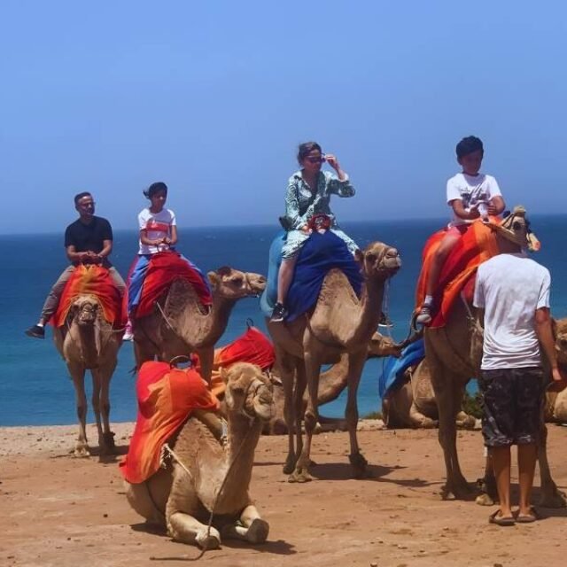 Luxury Day Trip from Estepona to Morocco