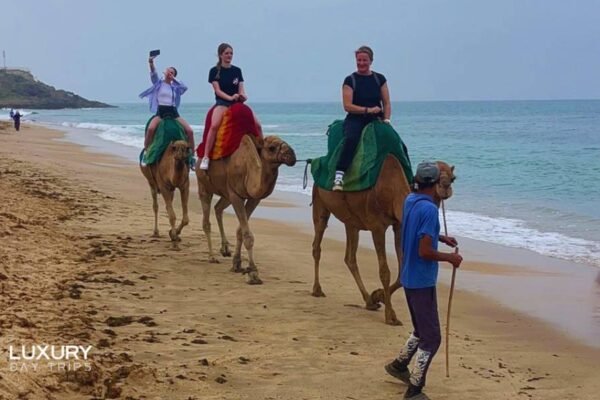Luxury Day Trip from Cadiz to Morocco