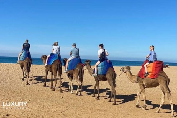 Luxury Day Trip from Ronda to Morocco