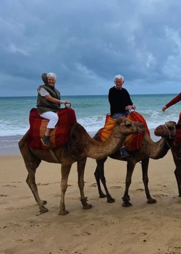Luxury Day Trips company