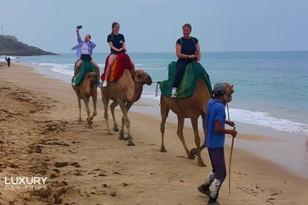 From Marbella: Luxury 2-Day Trip to Tangier & Chefchaouen