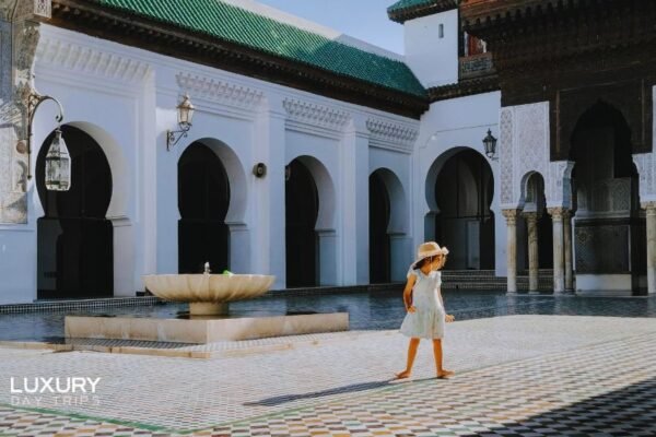 Fes in Style: Luxury Guided Tour of Fes