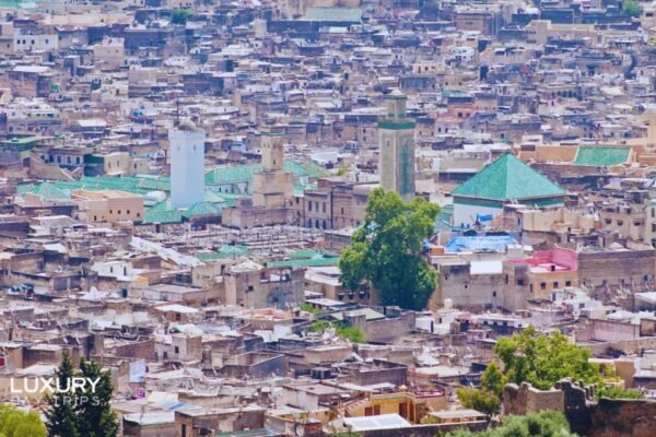 Fes in Style: Luxury Guided Tour of Fes