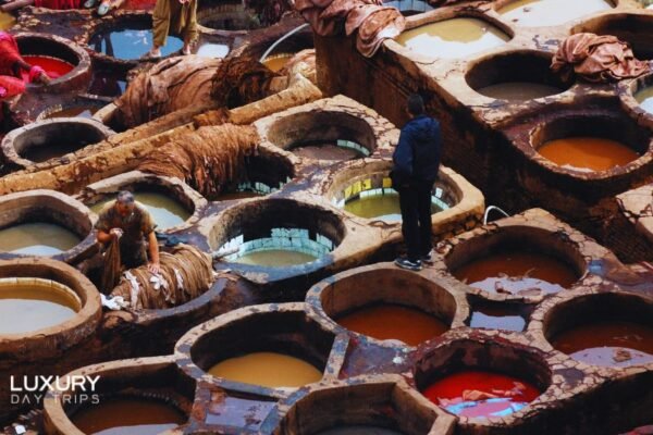 Fes in Style: Luxury Guided Tour of Fes