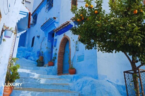 Luxury Day Trip from Tangier to Chefchaouen